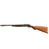 Image 5 : RIVERSIDE ARMS | Model: Side By Side Hammer Gun | Caliber: 12 G X 2 3/4"