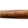 Image 10 : COOEY | Model: 75 | Caliber: .22 LR