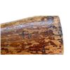 Image 15 : HARRINGTON & RICHARDSON | Model: Single Shot | Caliber: 12 G X 2 3/4"