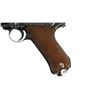 Image 5 : DEACTIVATED GERMAN LUGER | Model: P08 | Caliber: 9MM LUGER