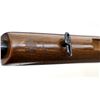 Image 13 : CHIAPPA | Model: Double Badger | Caliber: .22 LR/410 G X 3"
