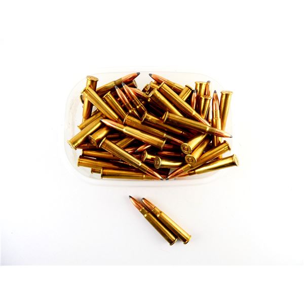 RELOADED ASSORTED .303 BR AMMO LOT