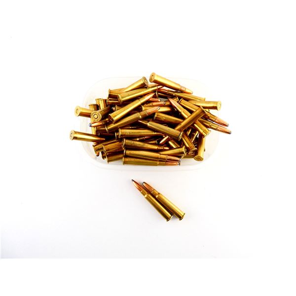 RELOADED ASSORTED .303 BR AMMO LOT