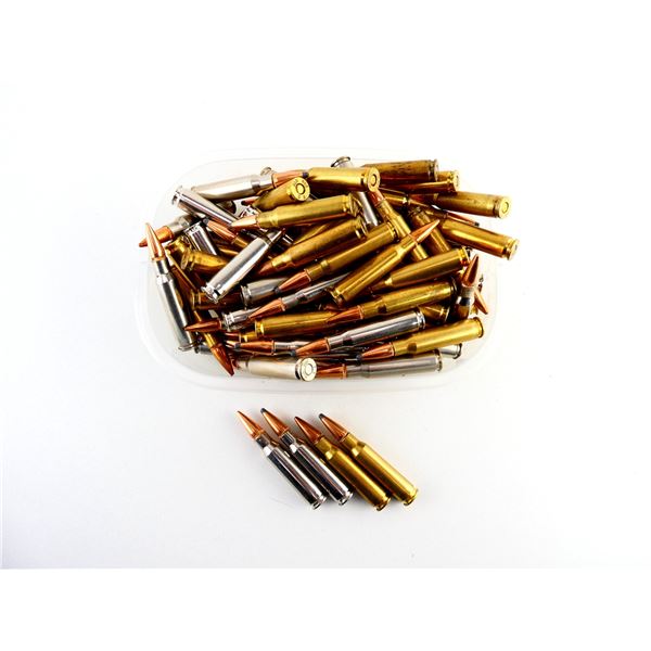 RELOADED ASSORTED .308 WIN AMMO LOT