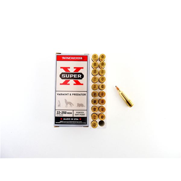 WINCHESTER .22-250 REM AMMO LOT
