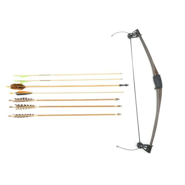 UNKNOW COMPOUND BOW AND ASSORTED ARROWS LOT