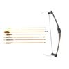 Image 1 : UNKNOW COMPOUND BOW AND ASSORTED ARROWS LOT