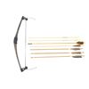Image 2 : UNKNOW COMPOUND BOW AND ASSORTED ARROWS LOT