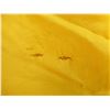 Image 5 : SPALDING 4-PERSON STYLE CAMPING TENT LOT