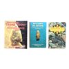 Image 1 : ASSORTED ARROW / STONE BOOK LOT