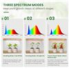 Image 10 : 2-Pack LED Grow Light Strips for Indoor Plants; Full-Spectrum, 5 Brightness Levels, Timer - New