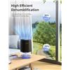 Image 5 : Household Dehumidifier w/ 7-Color LED Light (750ml Tank) Ultra-Quiet, Auto-Off, Energy-Efficient New