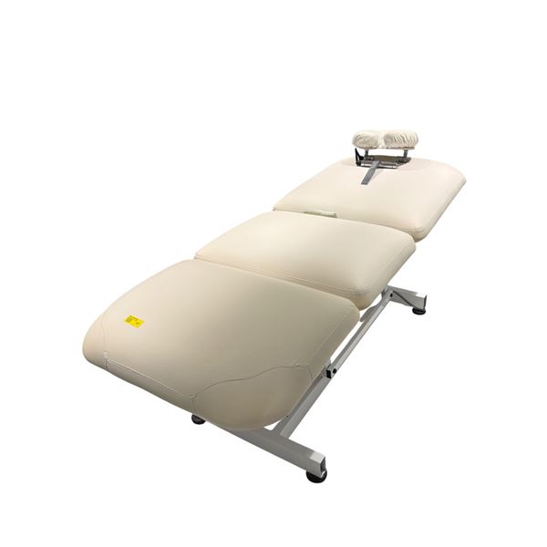 Silhouet-Tone Laguna Professional Electric Spa Table with Swiss-Made Magnetic MAX30 Actuators