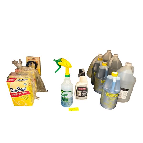 Assorted Cleaning Supplies