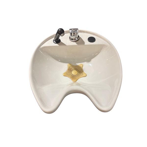 Professional White Ceramic Tilting Shampoo Bowl with Fixtures