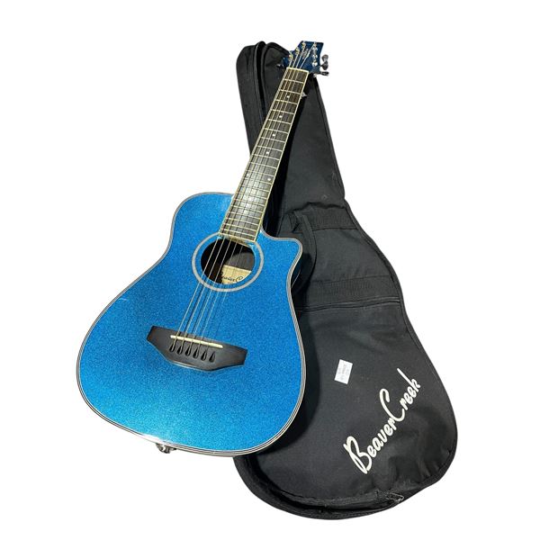 Beaver Creek Shadow Guitar with Bag