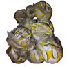 Image 3 : 15 United Color of Canada Soccer Balls - Yellow and White Size 5