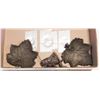 Image 1 : CAST IRON GRASSHOPPER & CAST IRON HARVEST