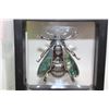 Image 1 : NEW ABALONE SHELL WING BEE SILVERTONE