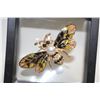 Image 1 : NEW BEE BROOCH INLAID RHINESTONES AND