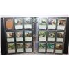 Image 1 : BINDER MAGIC THE GATHERING CARDS