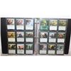 Image 1 : BINDER MAGIC THE GATHERING CARDS