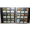 Image 1 : BINDER MAGIC THE GATHERING CARDS