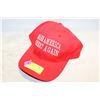 Image 1 : MAKE AMERICA SKATE AGAIN HAT