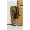 Image 1 : 2)  NATURAL 17.1 GRAM AMBER CLUSTER