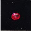Image 1 : 12)  OVAL LAB CREATED 2 CT RUBY, READY