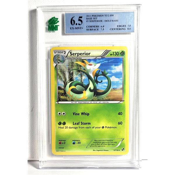 2) MNT GRADED 6.5 FROM 2011, POKEMON #5