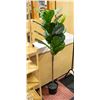 Image 1 : ARTIFICIAL PLANT APROX 57"