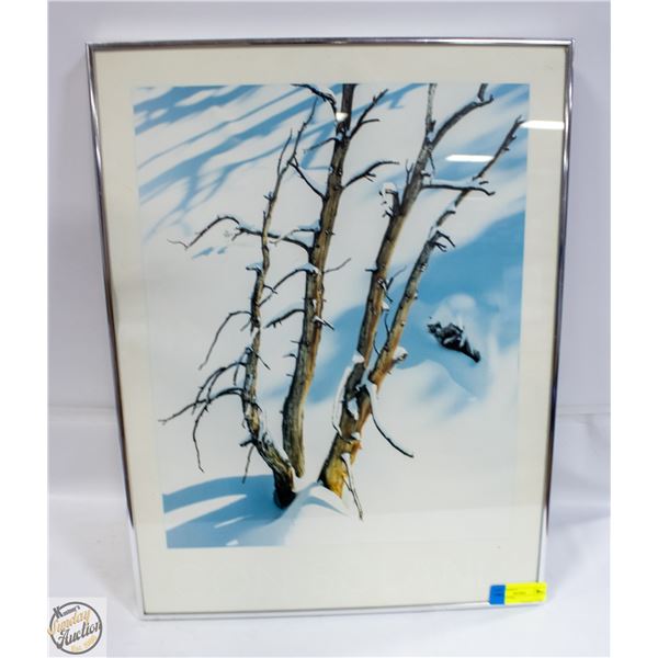 TREE PICTURE 18.5" X 24.5"