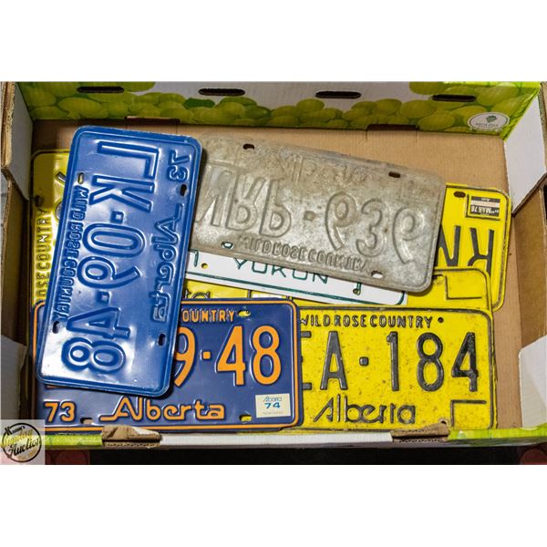LOT OF OLD LICENSE PLATES
