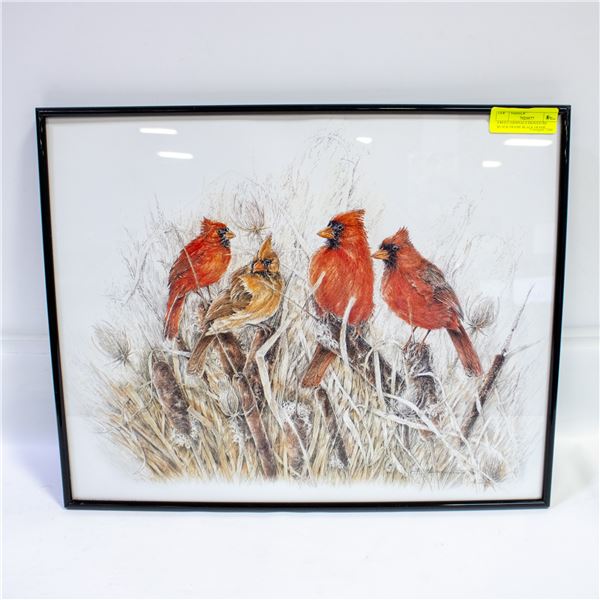 4 RED CARDINALS SIGNATURE BLACK FRAME BLACK FRAME