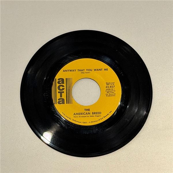 The American Breed Anyway That You Want Me 45 Album