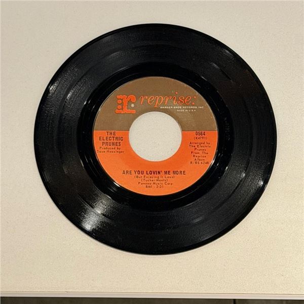 The Electric Prunes Are You Lovin Me More 45 Album