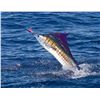 Image 2 : 5-Night Costa Rican Fishing Adventure for Two Anglers