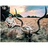Image 1 : 10-Day African Safari for 2 hunters (2x1) and 2 Observers
