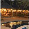 Image 5 : 10-Day African Safari for 2 hunters (2x1) and 2 Observers