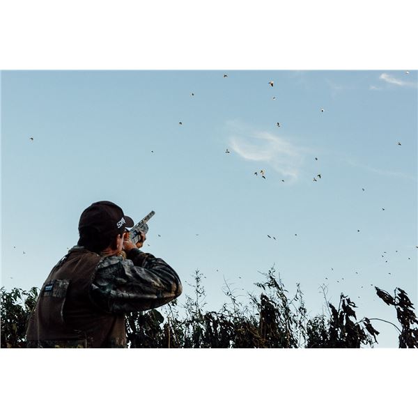 3-Day Argentina High Volume Dove Hunt for Four Hunters