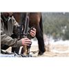 Image 4 : Gunwerks Endex 7PRC Rifle, Revic RS525i Scope, Ammo, and Case