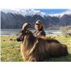 Image 2 : 5-Day Himalayan Bull Tahr Hunt for 1 Hunter in New Zealand