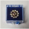 Image 1 : VINTAGE ORNATE MASONIC PIN