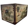 Image 4 : Safari Tours Storage Box & 2 Tine Life Books (Box is 11" x 19" x 10" tall)