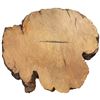 Image 1 : Natural Unvarnished Burl Wood Slab (1" thick x 26" x 28")