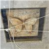 Image 2 : Large Faux Butterfly in Shadow Box Frame  18" x 18"  Needs Repair
