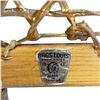 Image 3 : Pair of Huron Style Snowshoes