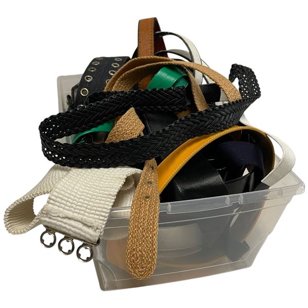 Group of Ladies Belts - Variety of Styles and Materials
