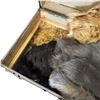 Image 3 : Large Steamer "Tickle" Trunk Filled with Faux Furs and Wool Blankets and More 34.5x21x24"